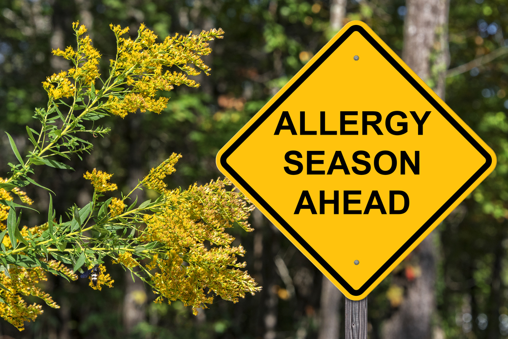 4 Best Products for Seasonal Allergy Relief