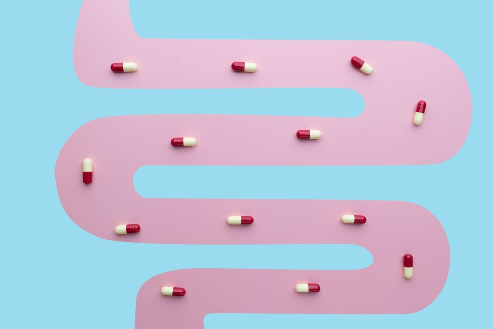 5 Supplements for Digestion We Offer