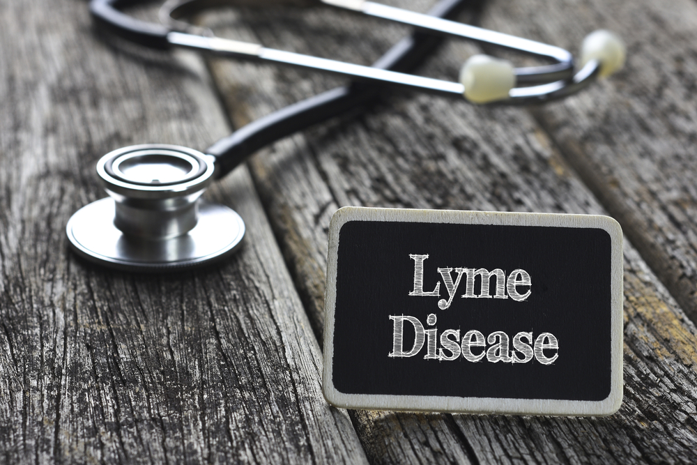 5 Important Things to Know About Lyme Disease