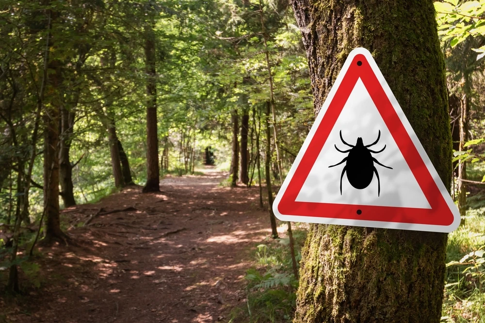 Tick Bite Prevention and Important Safety Tips