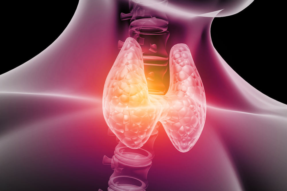 4 Things to Know About Your Body’s Thyroid Gland